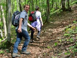 Wanderpfad zur Burgruine Homburg