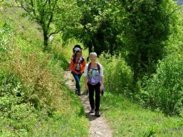 Wanderpfad zur Homburg / Gössenheim