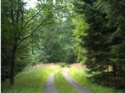 Dein Wanderweg im Spessart