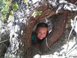 Kinderglück im Wald