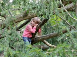 Burggelände der Karlsburg ideal für Kinder