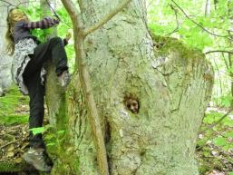 Wandern im Wald, ein Erlebnis für Kinder 