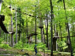 Hochseilgarten im Spessartwald