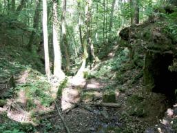 Wilde Schlucht im Saaletal