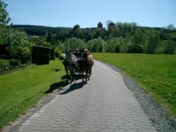 Kutschfahrt in der Sinnaue