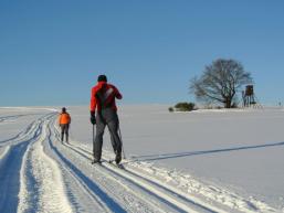 Bestes Winterwetter im Spessart