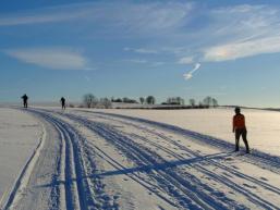 Wintermärchen in der Natur