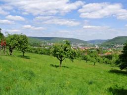 Blick über Lohr am Main