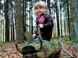 Wildschwein im Spessart