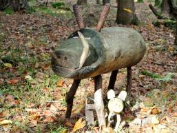 Waldbewohner des Märchenwaldes im Spessart