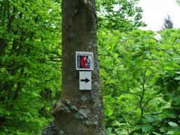 Fränkischer Marienweg durch den Spessart