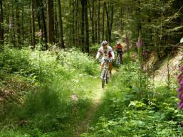 Gegenverkehr auf manchen Trails