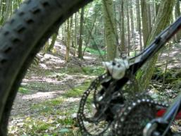 Mountainbiken zwischen Spessart und Rhön