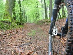 Auf dem Weg vom Weißen zum Roten Kreuz