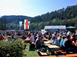 Schachblumenfest zur Schachblumenblüte in Obersinn