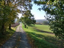 Feldweg zum genüsslichen Radfahren