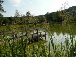 Parksee in Rieneck mit Grillplatz