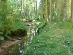 Der Fließenbach durchfließt ein Spessarttal