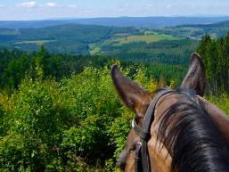 Hoch zu Ross über die Höhen des Spessarts