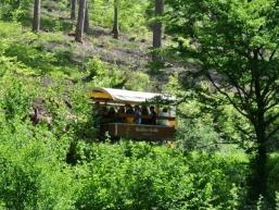 Entführt mit dem Planwagen in die Wälder