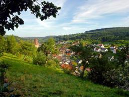 Rieneck im Spessart