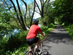 Radwanderweg Fränkische Saale zwischen Schönau und Gemünden