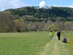 Wanderweg zum Schachblumenfest in Obersinn