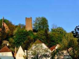 Burgruine Scherenburg