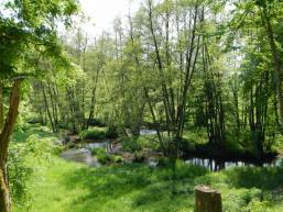 Naturschutzgebiet Schondratal zwischen Heiligkreuz und Gräfendorf