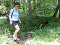 Wald, Wiesen, Wasser erleben im Schondratal