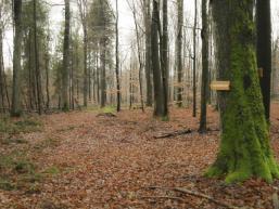 Abzweigung von der Birkenhainer zum Bildstock Elisabethenzell