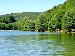 Der Sinderbachsseee im Sinderbachstal zwischen Langenprozelten und Ruppertshütten