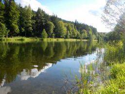 Natur pur im Sindersbachtal