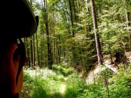 Mountainbiken im Spessart