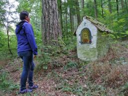 Wandern im Spessart