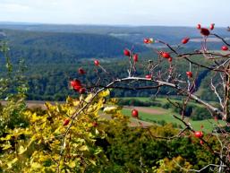 Oberhalb Morlesau: Ausblick über Saaletal und Spessart