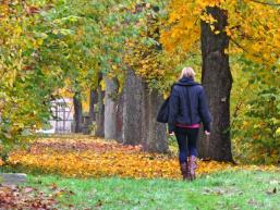 Herbst im Spessart - Die Vergänglichkeit bedenken