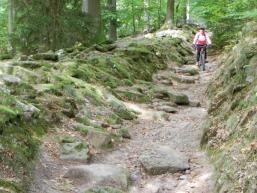 MTB Spaß der Extraklasse im Spessart