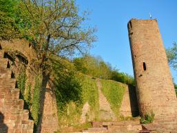 Die Ruine Scherenburg von innen