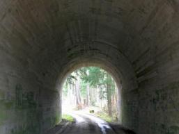 Vergessene Autobahn im Spessart