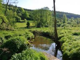 Auch der Biber wohnt im Tal der Aura