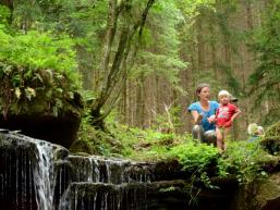 Feenwaldstimmung im Spessart