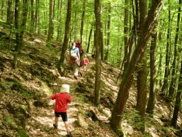 Kindern macht es Spaß auf dem Pfad zu wandern und zu klettern