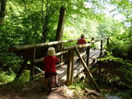 Wandern zum Trettstein, dem Wasserfall im Spessart