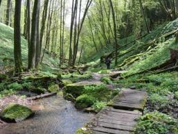 Wanderpfad entlang des Wassers zum Tretstein