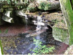 Naturschönheit am Waizenbach