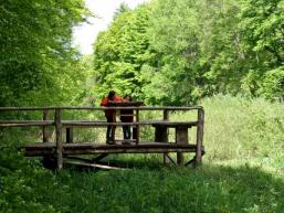 Kinder entdecken die Natur für sich