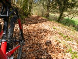 Biker auf dem Walderlebnispfad