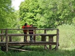 Wald- und Wassererlebnispfad Rieneck