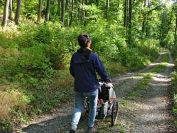 Naturpark Spessart ist eine Wanderregion